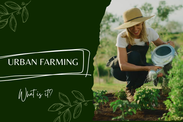 Urban farming